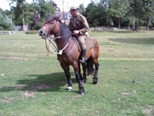 Celso ready for action as a Troop Horse